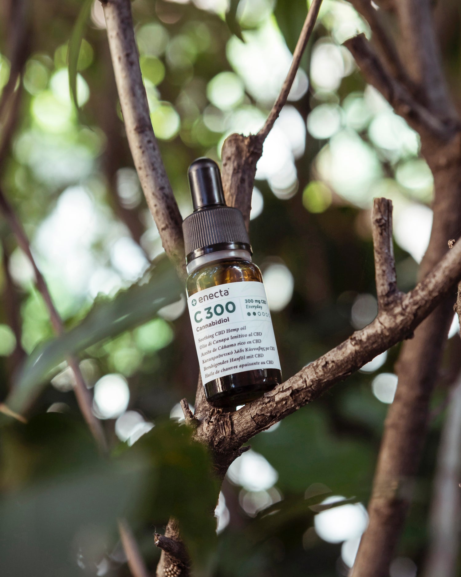 CBD Oel auf Baum