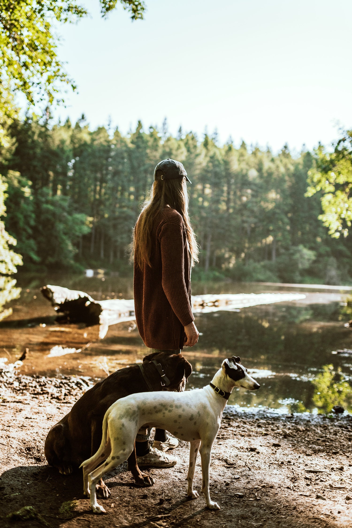 Frau mit zwei Hunden am See im Wald